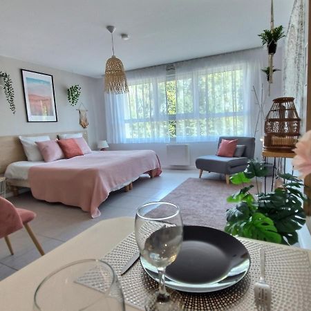Appartamento L'AMAZONIE - ROISSY CDG - Parc Astérix - Paris Moussy-le-Neuf Esterno foto