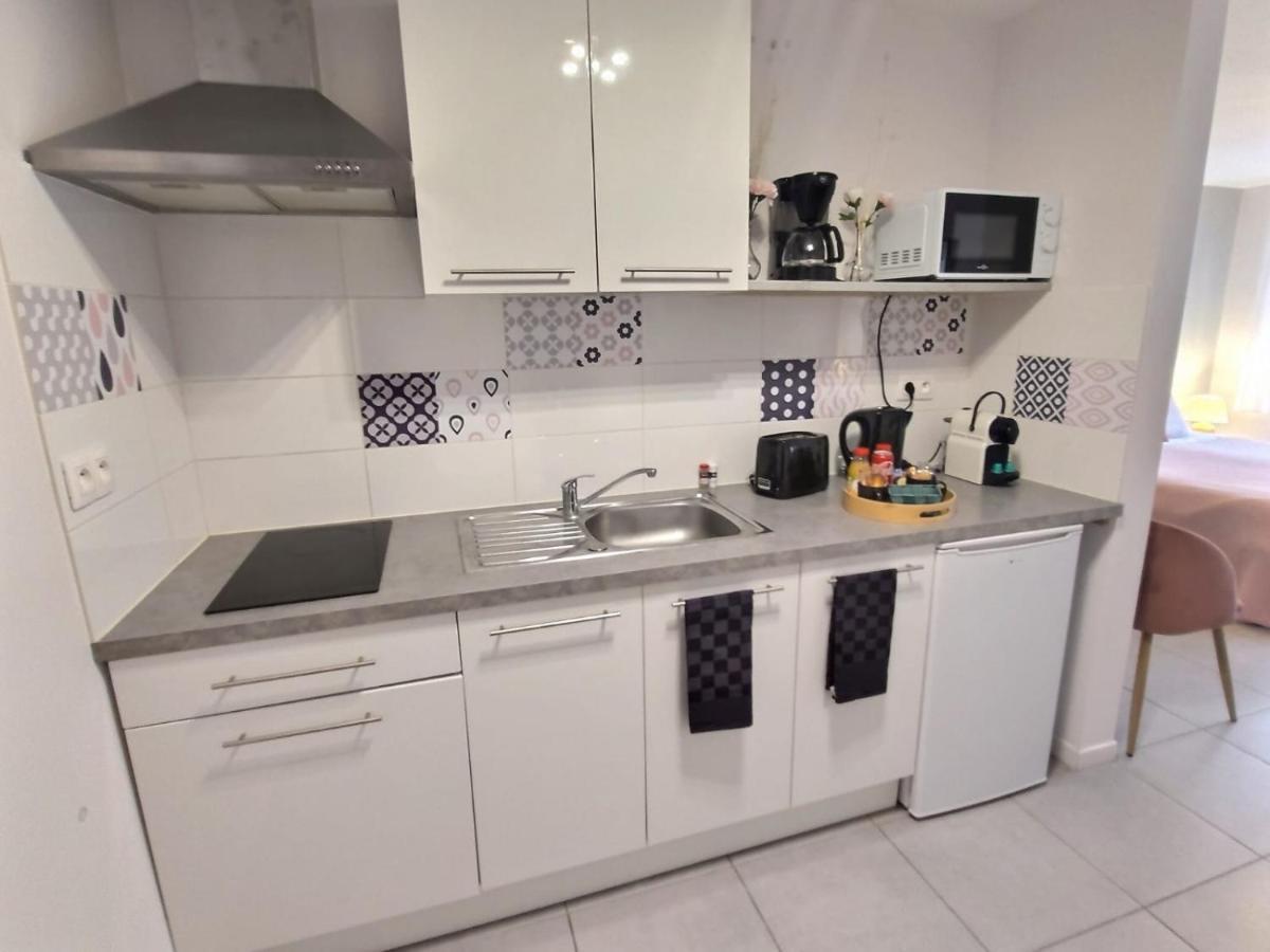 Appartamento L'AMAZONIE - ROISSY CDG - Parc Astérix - Paris Moussy-le-Neuf Esterno foto