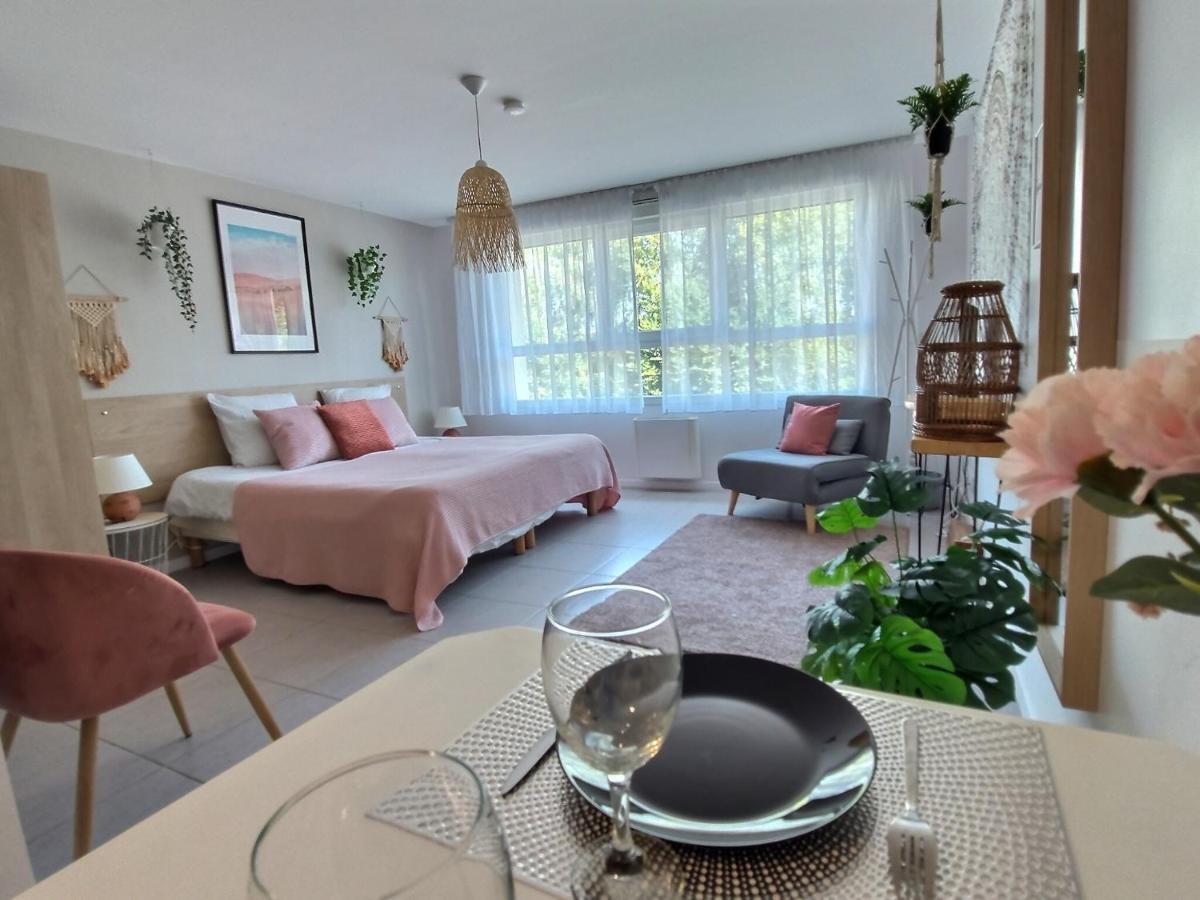Appartamento L'AMAZONIE - ROISSY CDG - Parc Astérix - Paris Moussy-le-Neuf Esterno foto